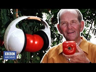 1975: Charlie Roberts' HAPPY TOMATOES | Nationwide | Weird and Wonderful | BBC Archive