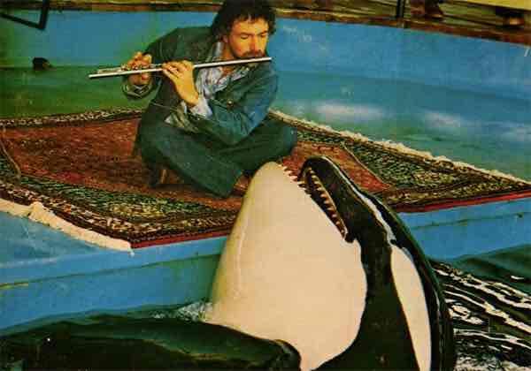paul horn &amp; haida