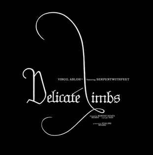 serpentwithfeet x Virgil Abloh - Delicate Limbs