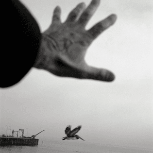 by Alberto García-Alix