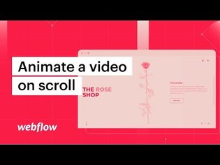 How to animate a video on scroll - After Effects &amp; Lottie in Webflow