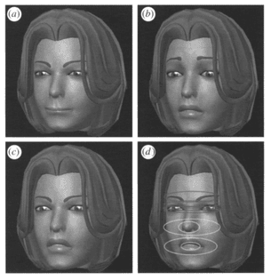 Figure 1. Superposition of two emotional states: (a) anger; (b) sadness; (c) superposition of anger and sadness; (d) facial areas of each emotion: anger is shown on the upper facial areas and sadness on the lower areas.