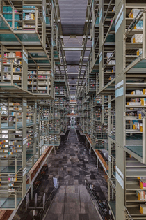 Biblioteca Vasconsuelos