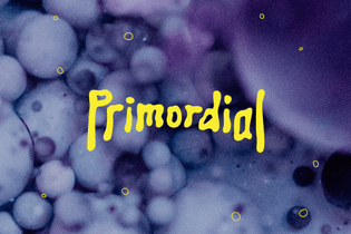 3450_irozclark_p3_primordial-final-present.jpg
