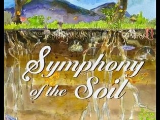 Symphony of Soil