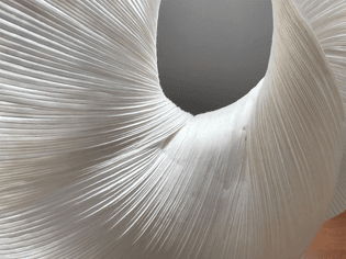 texture-forma-della-carta-lampada-da-tavolo-yoruba-rose-in-carta-e-metallo-ingo-maurer-deesup__preview.jpg