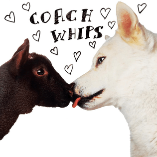 Coachwhips – Bangers Vs. Fuckers