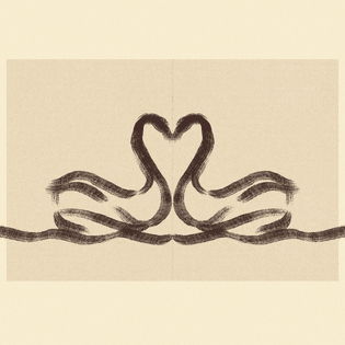 swan - love - symmetry