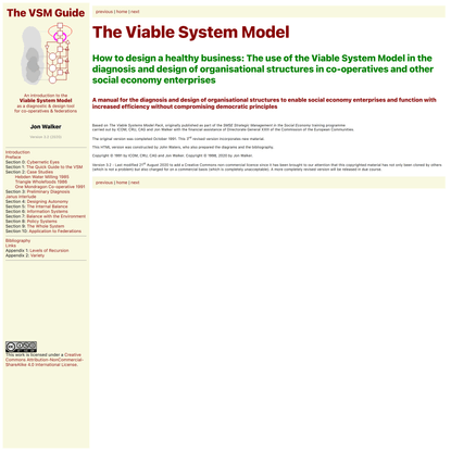 The Viable Systems Model Guide 3e