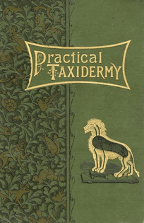 Practical Taxidermy (Book Cover)