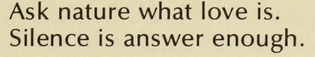 Linda Pastan, from The Five Stages of Grief: Poems; "The Mirror"