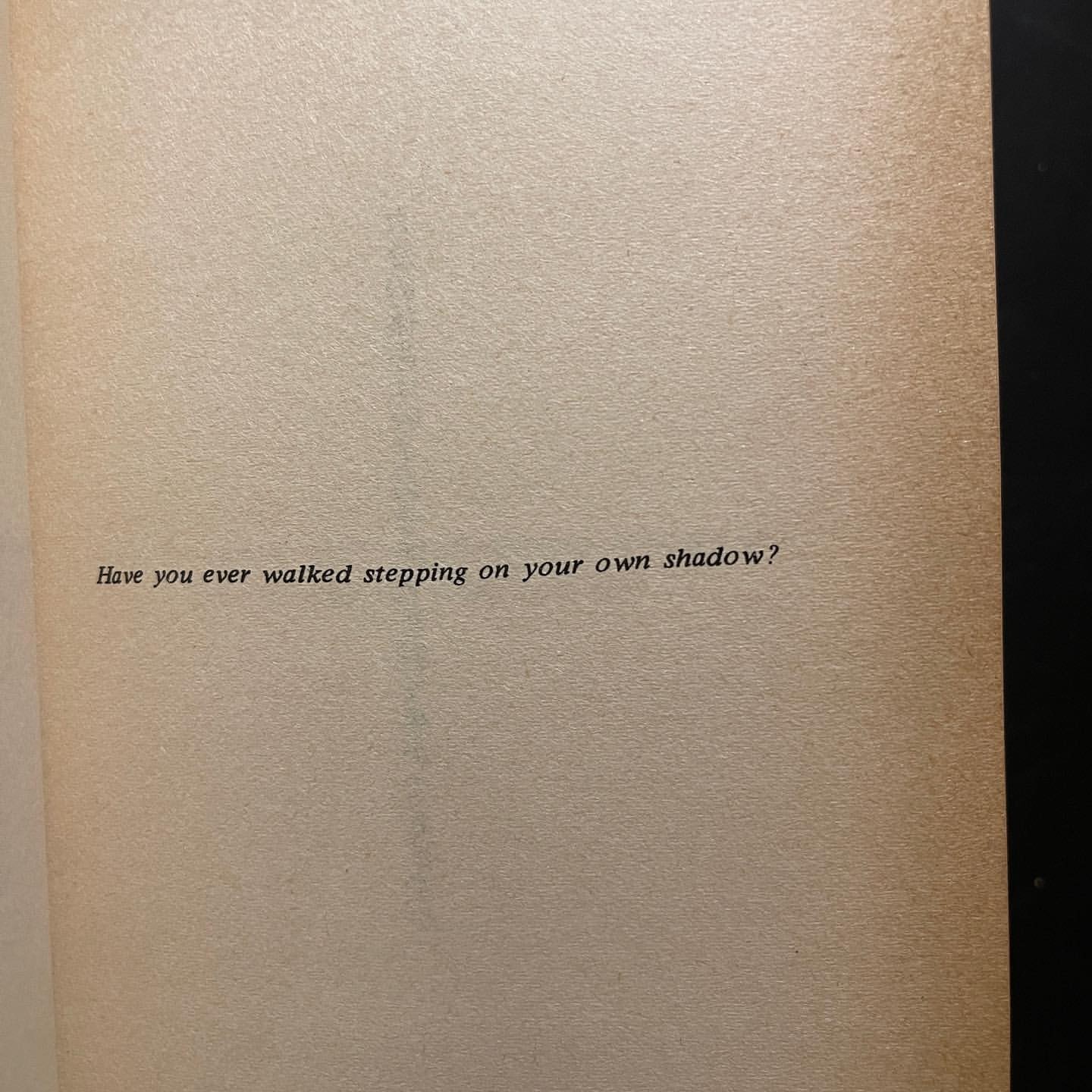 2023-01-01-03.56.20-3005850964072113605_16163552481.jpg