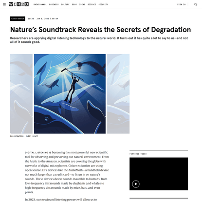 Nature’s Soundtrack Reveals the Secrets of Degradation | WIRED