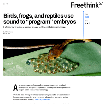 Birds, Frogs, and Reptiles Use Sound to “Program” Embryos