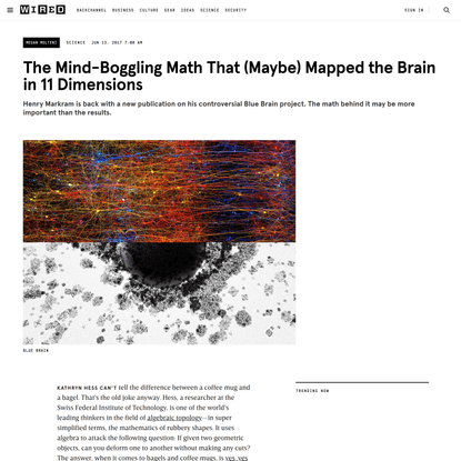 The Mind-Boggling Math That (Maybe) Mapped the Brain in 11 Dimensions | WIRED