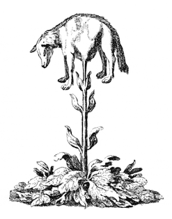 vegetable_lamb_-lee-_1887-.jpg