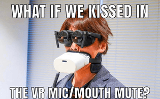 IN THE VR MIC/MOUTH MUTE?