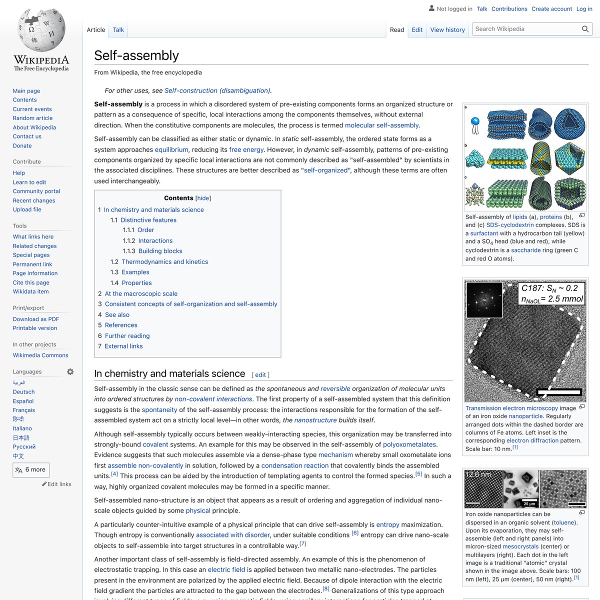 Selfassembly Wikipedia — Are.na