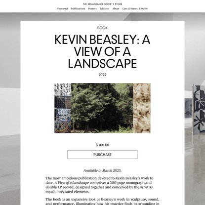 Kevin Beasley: A View of a Landscape | The Renaissance Society
