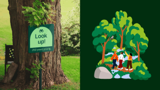 DesignStudio: Center Parcs Europe