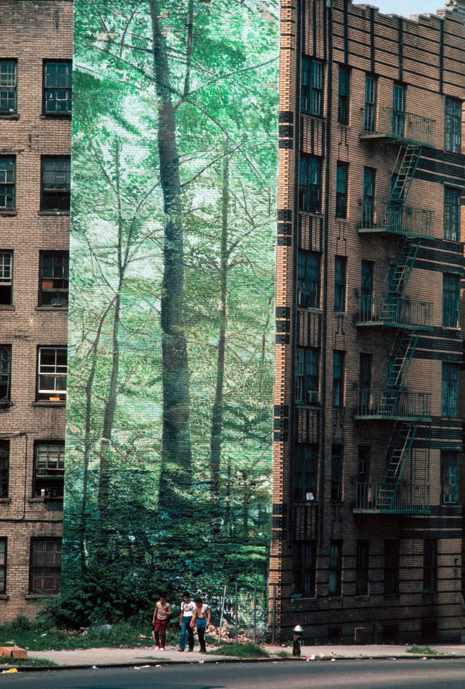 A mural of a forest in the South Bronx. New York City, USA. 1983.