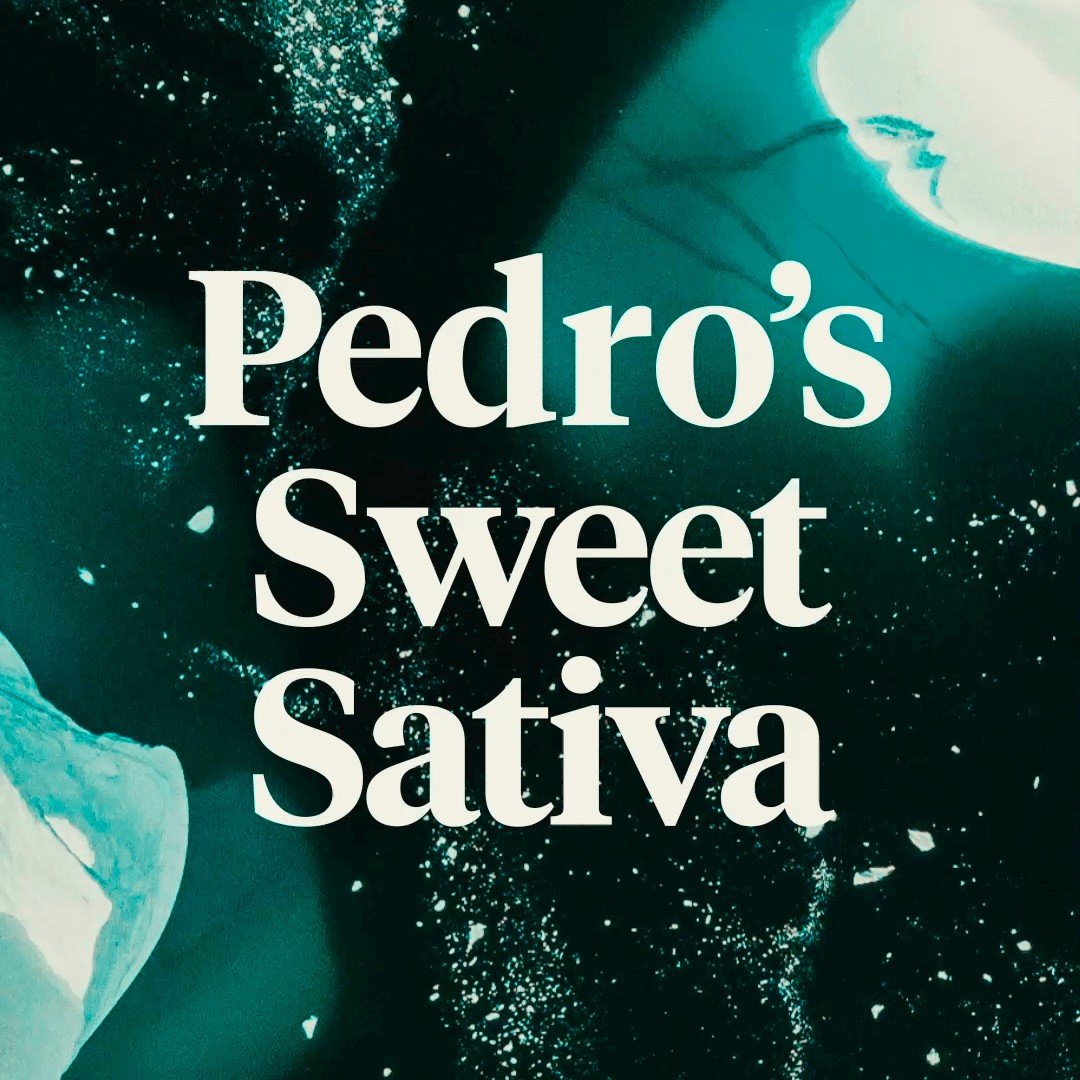 01_pedro_story_01.png?mw=1420-hash=72280d1bf1b89ca41a8a20138b183528
