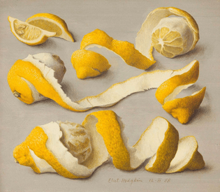 Eliot Hodgkin, Peeled Lemons, 1958
