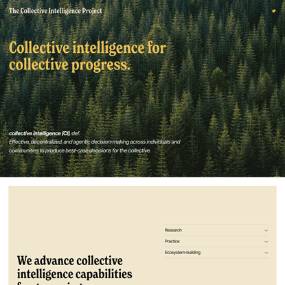 The Collective Intelligence Project