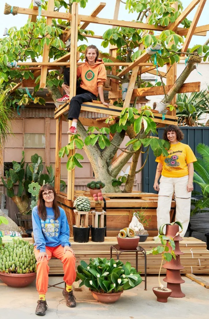 https://www.architecturaldigest.com/story/meet-the-la-collective-taking-the-plant-world-by-storm