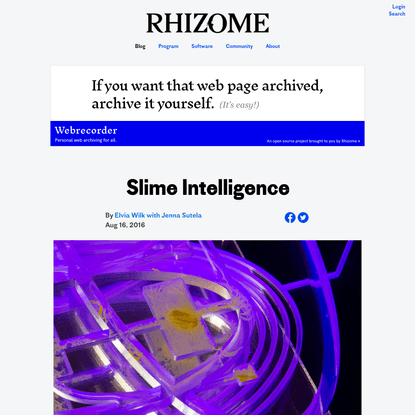 Slime Intelligence