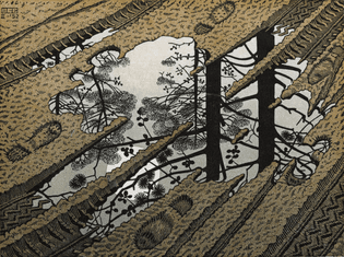 Puddle, M. C. Escher, 1952. Woodcut on paper 