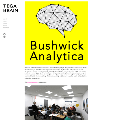 Bushwick Analytica - tegabrain