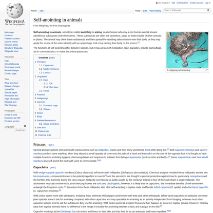 Self-anointing in animals - Wikipedia