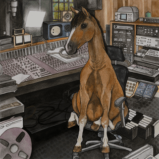 horse-in-studio-59c30c75b768a.jpg