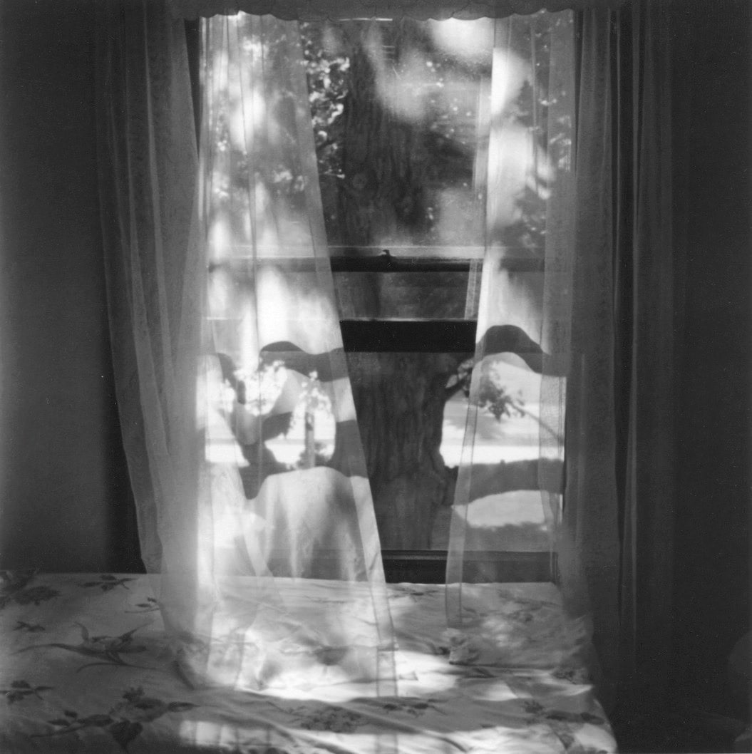 Light Breeze, Photo by Ann Rhoney, 1997