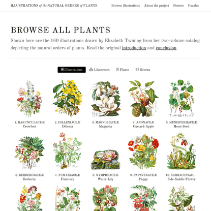 Illustrations of the Natural Orders of Plants