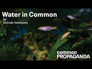 Common Propaganda & Astrida Neimanis - Water In Common