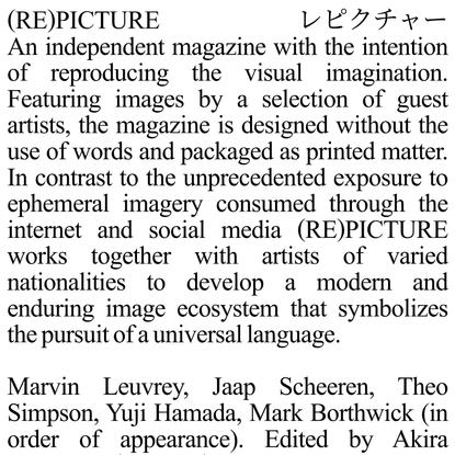 (RE)PICTURE