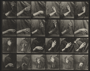 Eadweard J. Muybridge
Movement of the Hand, Beating Time:
Plate 535 from Animal Locomotion
1884-86