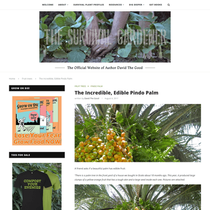 The Incredible, Edible Pindo Palm | The Survival Gardener