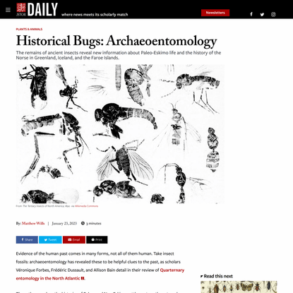 Historical Bugs: Archaeoentomology - JSTOR Daily