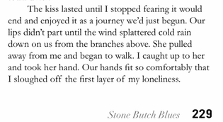 Stone Butch Blues