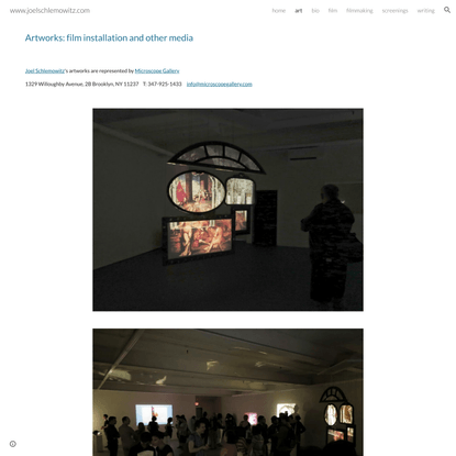 www.joelschlemowitz.com - art