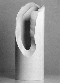 7ad48459bd299b4dca0fa9733e2120ad-design-vase-enzo-mari.jpg