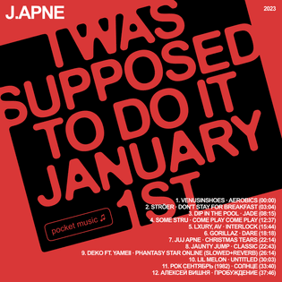 j.apne-i-was-supposted-to-do-it-january-1st.png