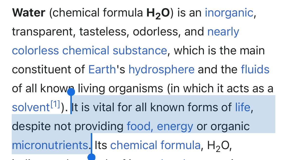 wiki wiki rabbit hole — Are.na