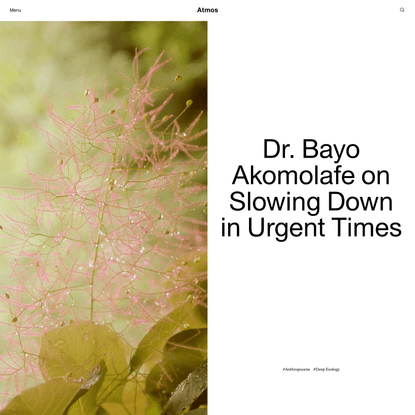 Dr. Bayo Akomolafe on Slowing Down in Urgent Times | Atmos