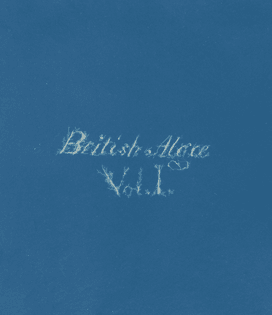 Anna Atkins - British Algae, Vol. I