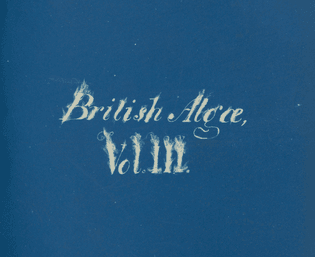 Anna Atkins - British Algae, Vol. III