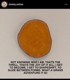 e231d4f9-8263-4c97-968b-861773279882.jpg